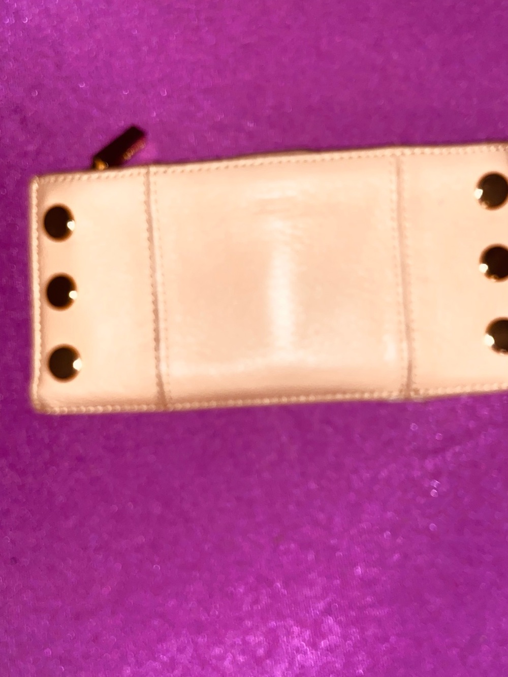 Hammitt 110 North Wallet